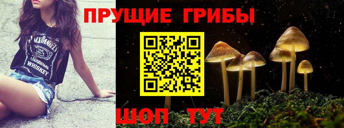 Галлюциногенные грибы Magic Shrooms Нурлат