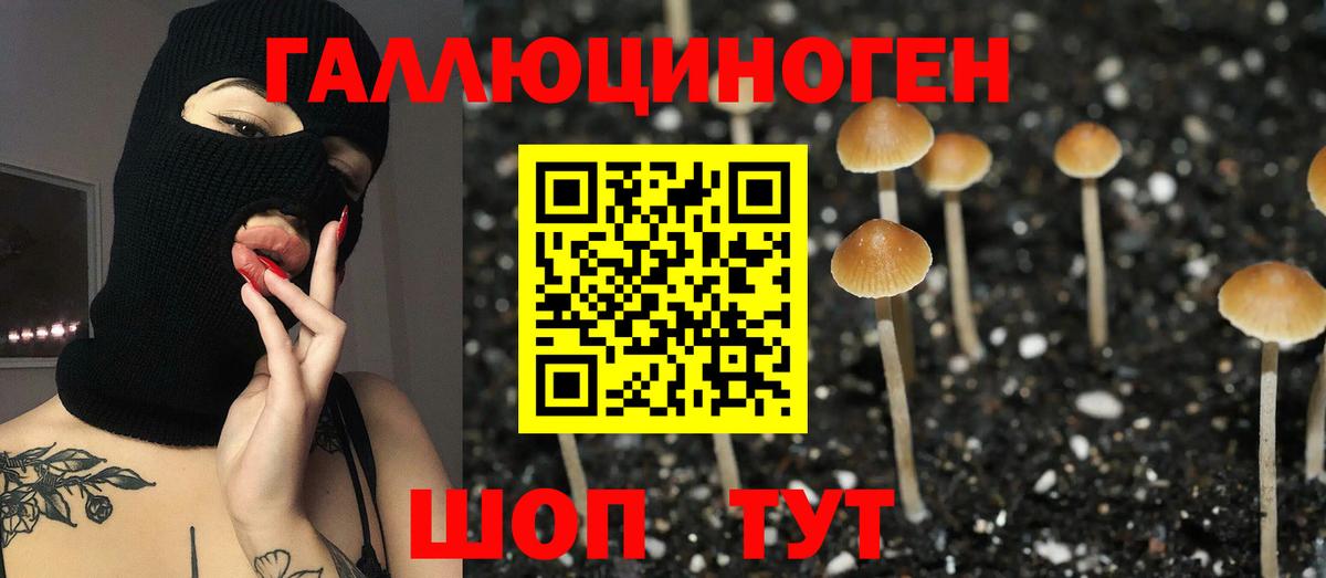 Псилоцибиновые грибы Cubensis  Псилоцибиновые грибы ЛСД  Вход с VPN  Нурлат 