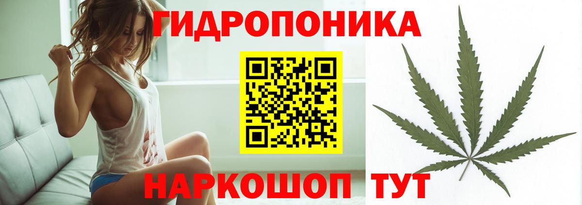 Каннабис план  Вход с VPN  Бошки марихуана индика  Бошки Шишки THC 21%  Бошки марихуана SATIVA & INDICA  Нурлат 